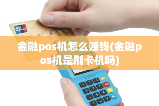 金融pos机怎么赚钱(金融pos机是刷卡机吗)