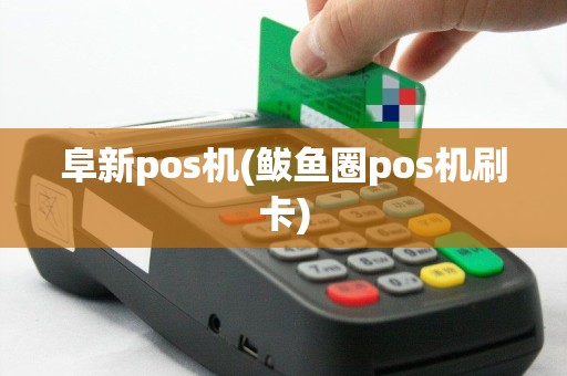 阜新pos机(鲅鱼圈pos机刷卡)