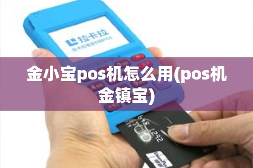 金小宝pos机怎么用(pos机金镇宝)
