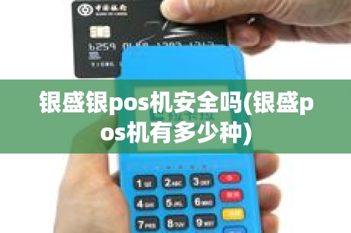 银盛银pos机安全吗(银盛pos机有多少种)