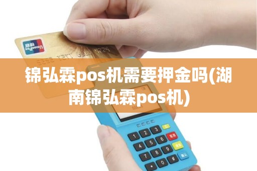 锦弘霖pos机需要押金吗(湖南锦弘霖pos机)