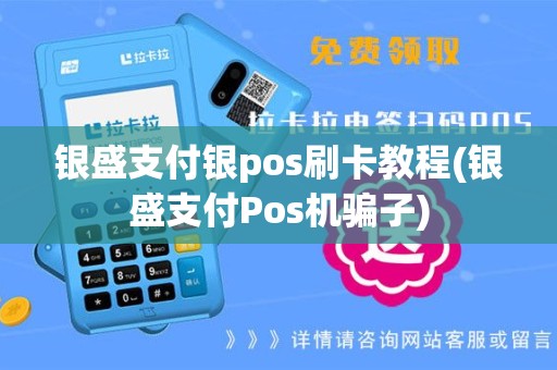 银盛支付银pos刷卡教程(银盛支付Pos机骗子)