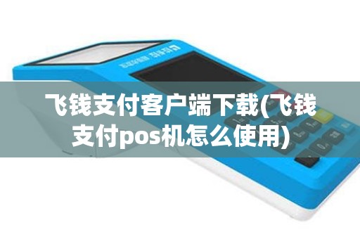 飞钱支付客户端下载(飞钱支付pos机怎么使用)