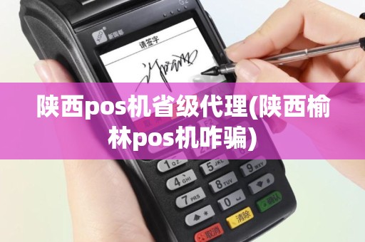 陕西pos机省级代理(陕西榆林pos机咋骗)