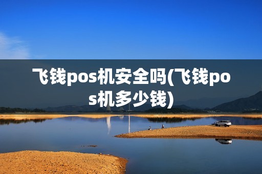 飞钱pos机安全吗(飞钱pos机多少钱)
