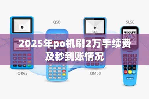 2025年po机刷2万手续费及秒到账情况