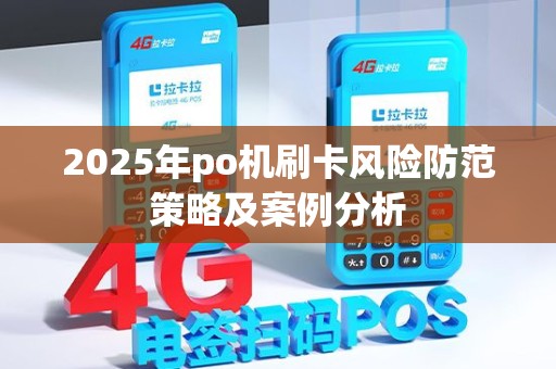 2025年po机刷卡风险防范策略及案例分析