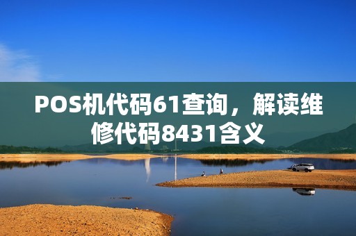 POS机代码61查询，解读维修代码8431含义
