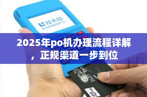 2025年po机办理流程详解，正规渠道一步到位