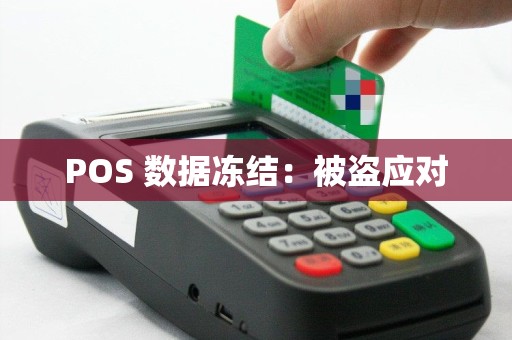 POS 数据冻结：被盗应对