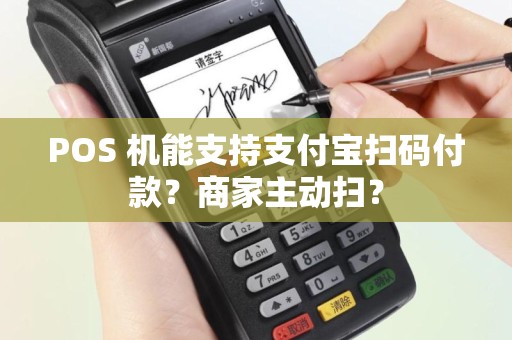 POS 机能支持支付宝扫码付款？商家主动扫？