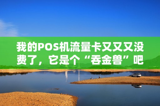 我的POS机流量卡又又又没费了,它是个“吞金兽”吧? 我的POS机流量卡又又又没费了,它是个“吞金兽”吧?