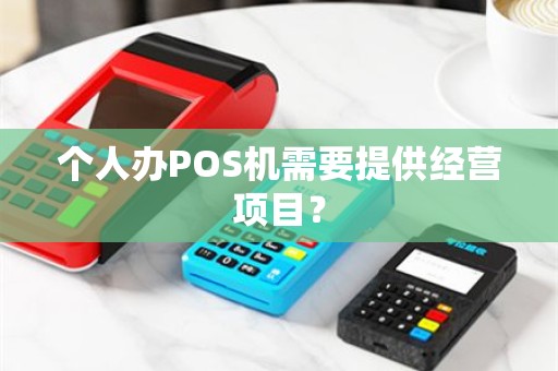 个人办POS机需要提供经营项目？