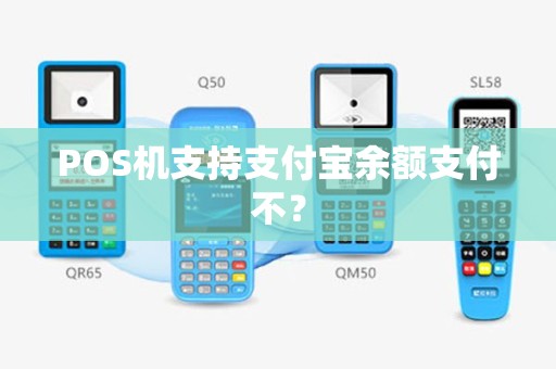 POS机支持支付宝余额支付不？