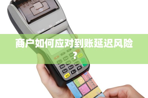 商户如何应对到账延迟风险？