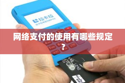 网络支付的使用有哪些规定？