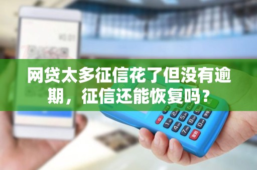 网贷太多征信花了但没有逾期，征信还能恢复吗？