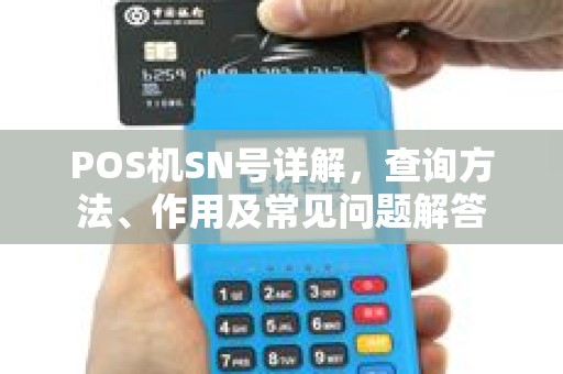 POS机SN号详解，查询方法、作用及常见问题解答