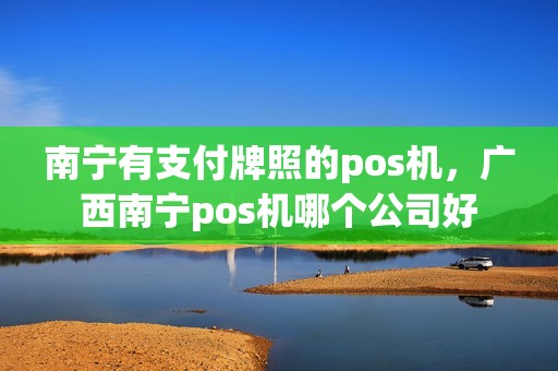 南宁有支付牌照的pos机，广西南宁pos机哪个公司好