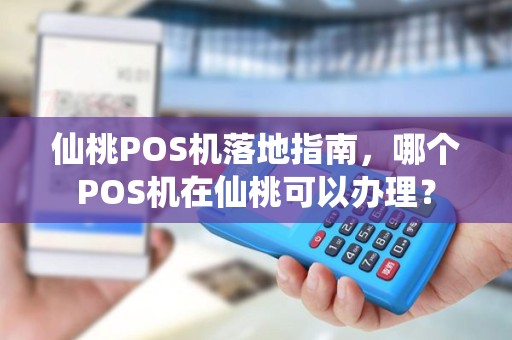 仙桃POS机落地指南，哪个POS机在仙桃可以办理？