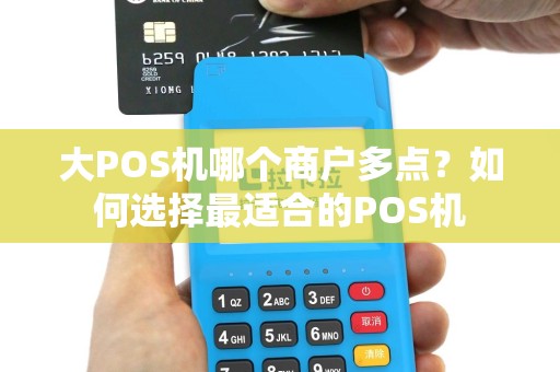 大POS机哪个商户多点?如何选择最适合的POS机 大POS机哪个商户多点?如何选择最适合的POS机