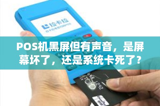 POS机黑屏但有声音，是屏幕坏了，还是系统卡死了？