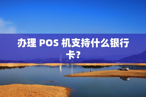 办理 POS 机支持什么银行卡？