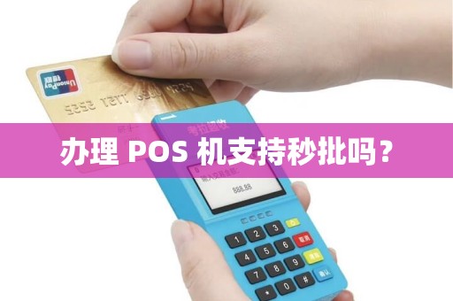 办理 POS 机支持秒批吗？