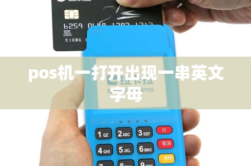 pos机一打开出现一串英文字母