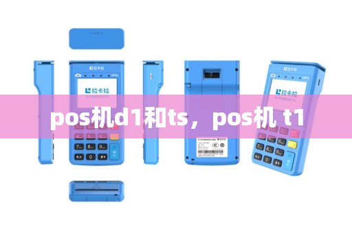 pos机d1和ts，pos机 t1