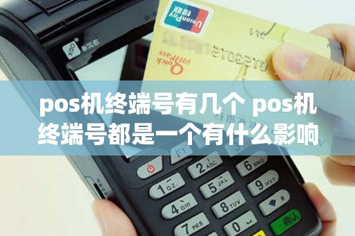 pos机终端号有几个 pos机终端号都是一个有什么影响