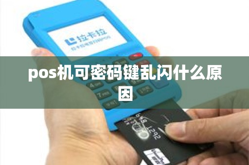 pos机可密码键乱闪什么原因