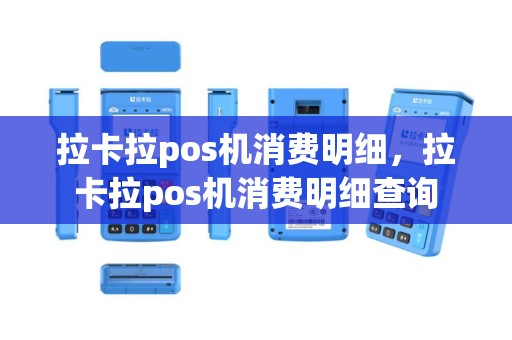 拉卡拉pos机消费明细，拉卡拉pos机消费明细查询