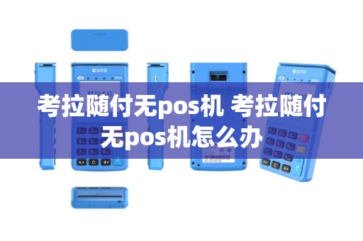 考拉随付无pos机 考拉随付无pos机怎么办