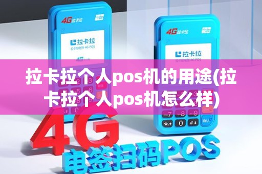 拉卡拉个人pos机的用途(拉卡拉个人pos机怎么样)