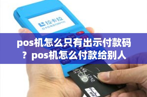 pos机怎么只有出示付款码？pos机怎么付款给别人