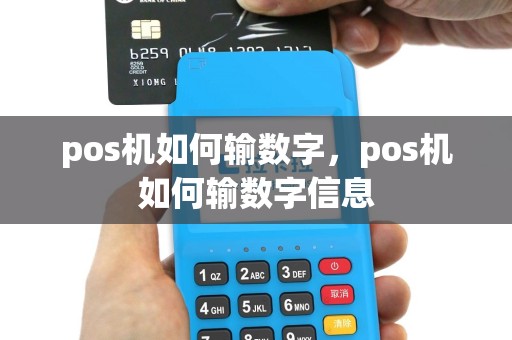 pos机如何输数字，pos机如何输数字信息