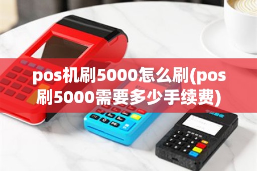 pos机刷5000怎么刷(pos刷5000需要多少手续费)