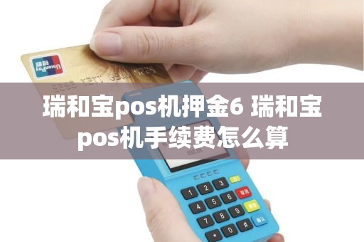 瑞和宝pos机押金6 瑞和宝pos机手续费怎么算
