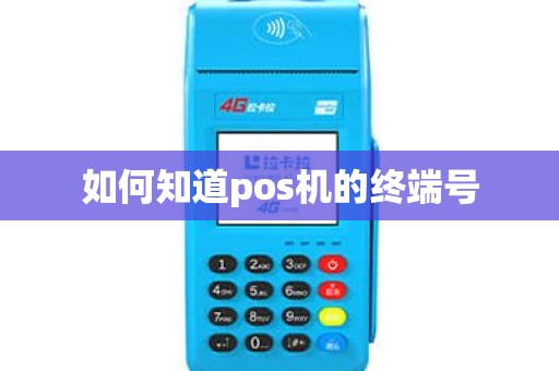 如何知道pos机的终端号
