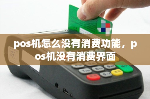 pos机怎么没有消费功能，pos机没有消费界面