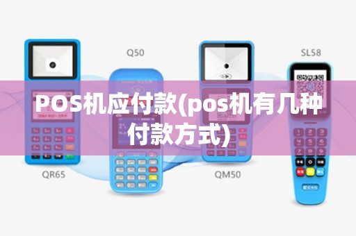 POS机应付款(pos机有几种付款方式)
