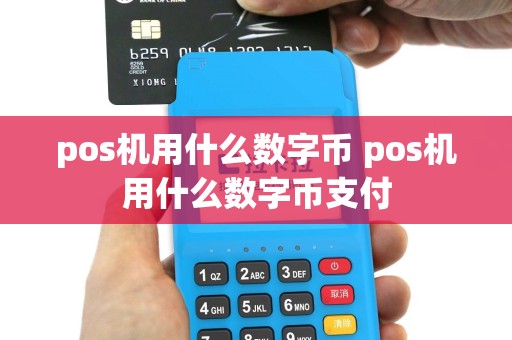 pos机用什么数字币 pos机用什么数字币支付