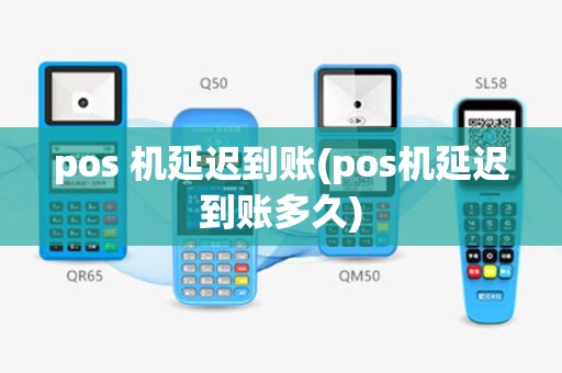 pos 机延迟到账(pos机延迟到账多久)