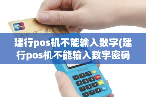 建行pos机不能输入数字(建行pos机不能输入数字密码)