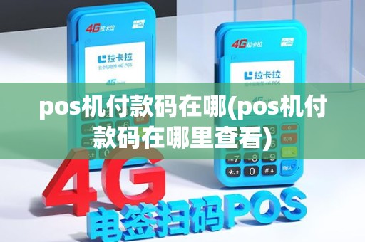 pos机付款码在哪(pos机付款码在哪里查看)