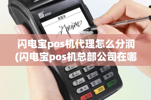 闪电宝pos机代理怎么分润(闪电宝pos机总部公司在哪里)