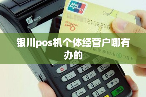 银川pos机个体经营户哪有办的