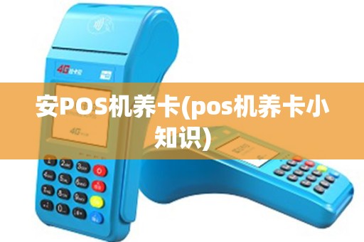 安POS机养卡(pos机养卡小知识)