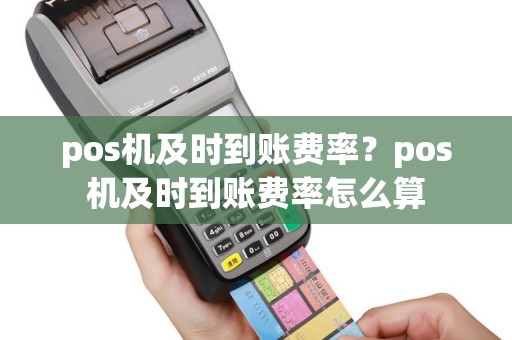 pos机及时到账费率？pos机及时到账费率怎么算